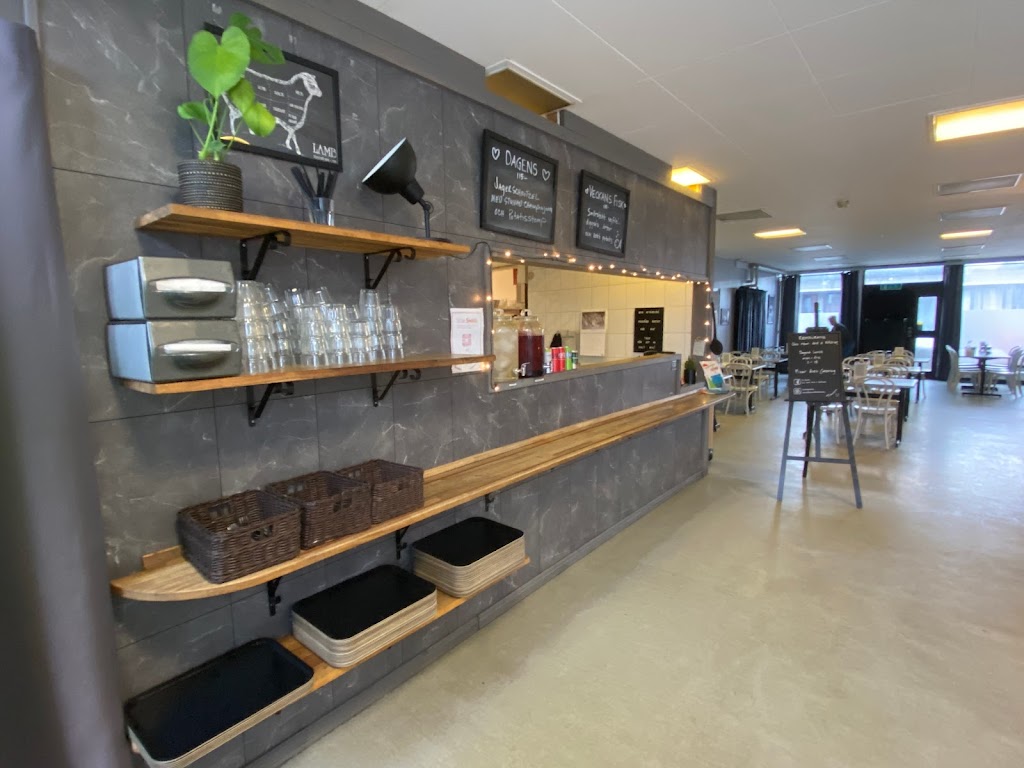 trevors-one-room-and-a-kitchen-9.jpeg