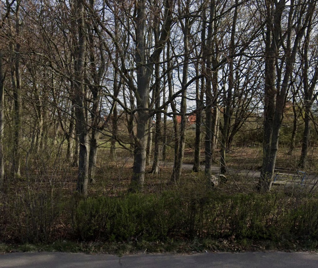 bokdungen-3.jpeg