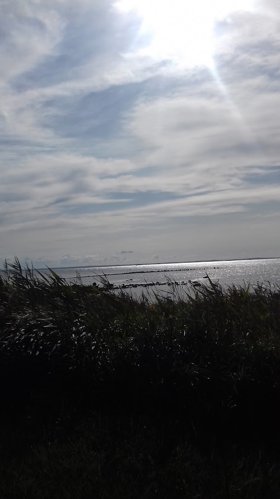 strandleken-13.jpeg