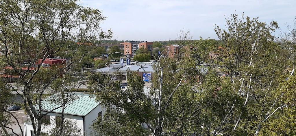 tivoli-park-6.jpeg