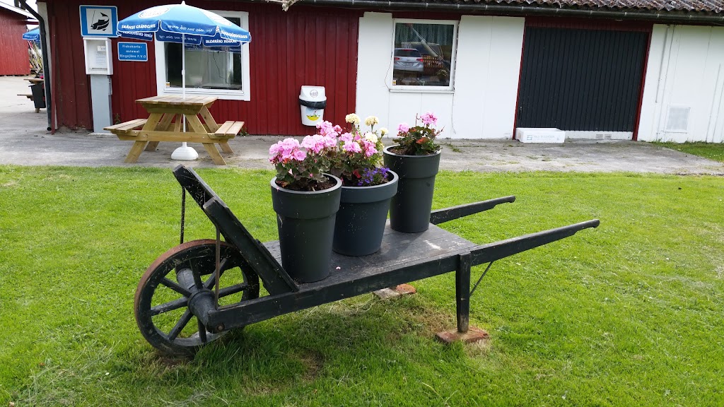 ab-ringsjofisk-atv-center-i-bosjokloster-ab-1.jpeg
