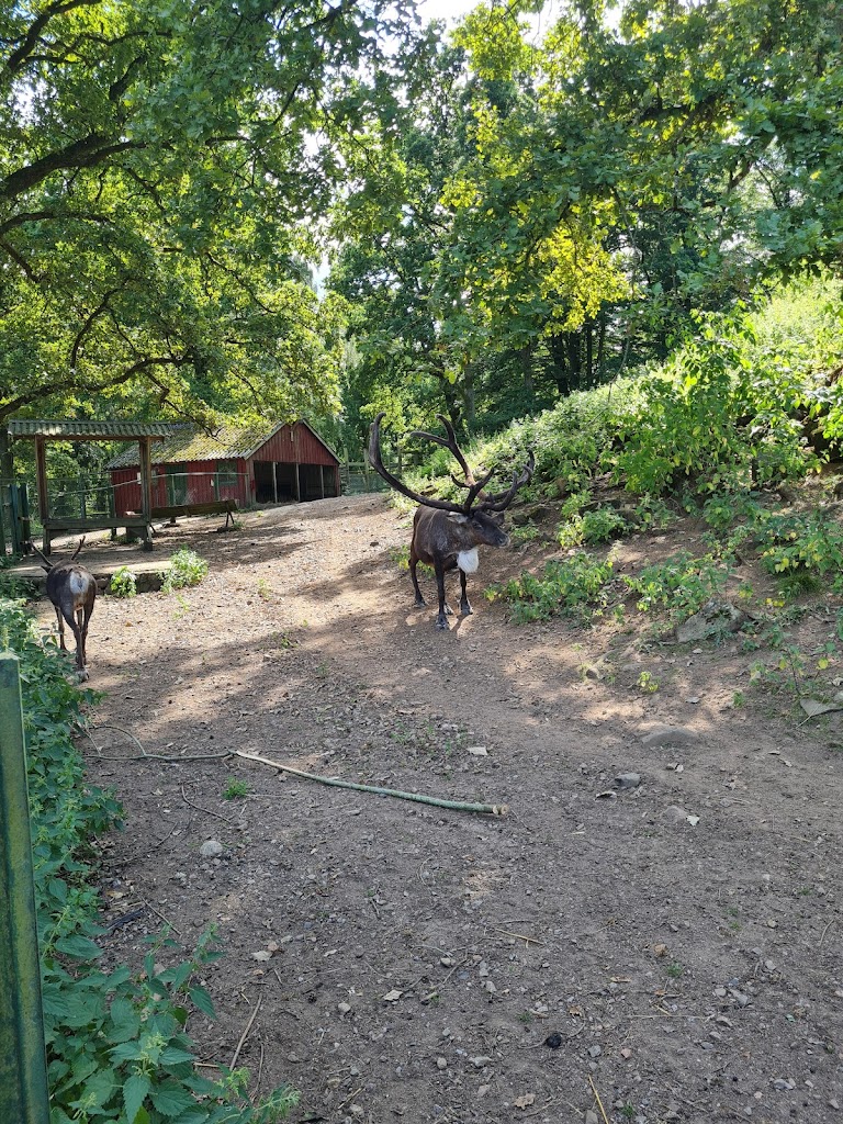 alghagn-i-skanes-djurpark-10.jpeg