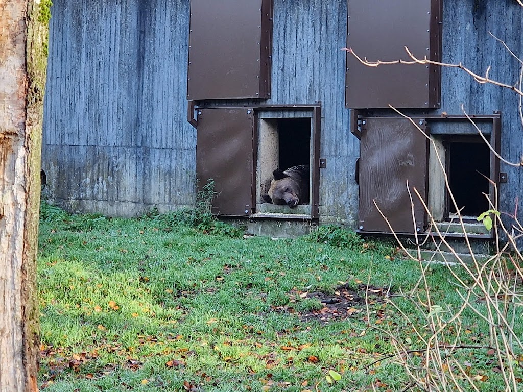 alghagn-i-skanes-djurpark-11.jpeg