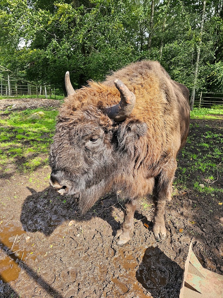 alghagn-i-skanes-djurpark-13.jpeg