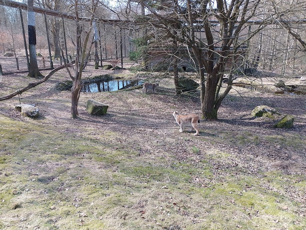 alghagn-i-skanes-djurpark-15.jpeg