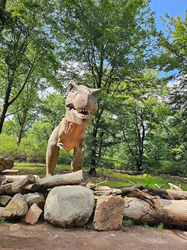 alghagn-i-skanes-djurpark-4.jpeg