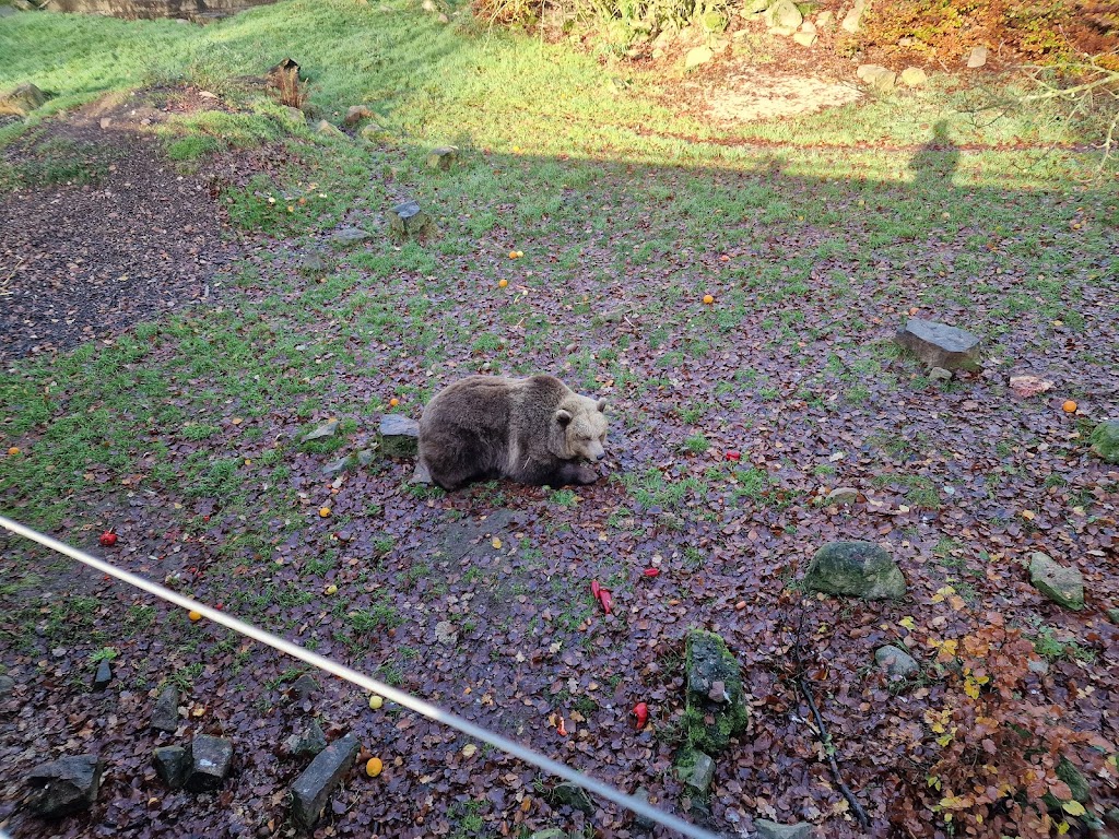 alghagn-i-skanes-djurpark-7.jpeg