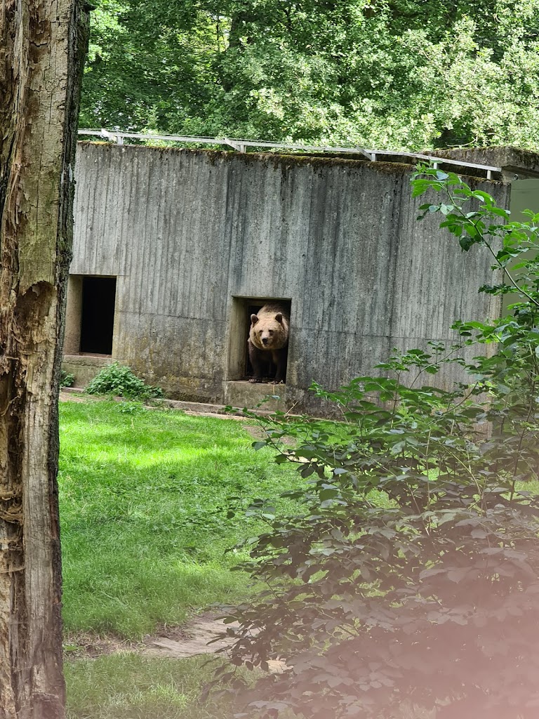 alghagn-i-skanes-djurpark-9.jpeg