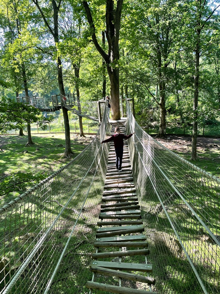 expedition-upp-i-skanes-djurpark-11.jpeg