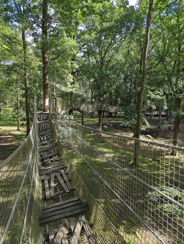 expedition-upp-i-skanes-djurpark-13.jpeg