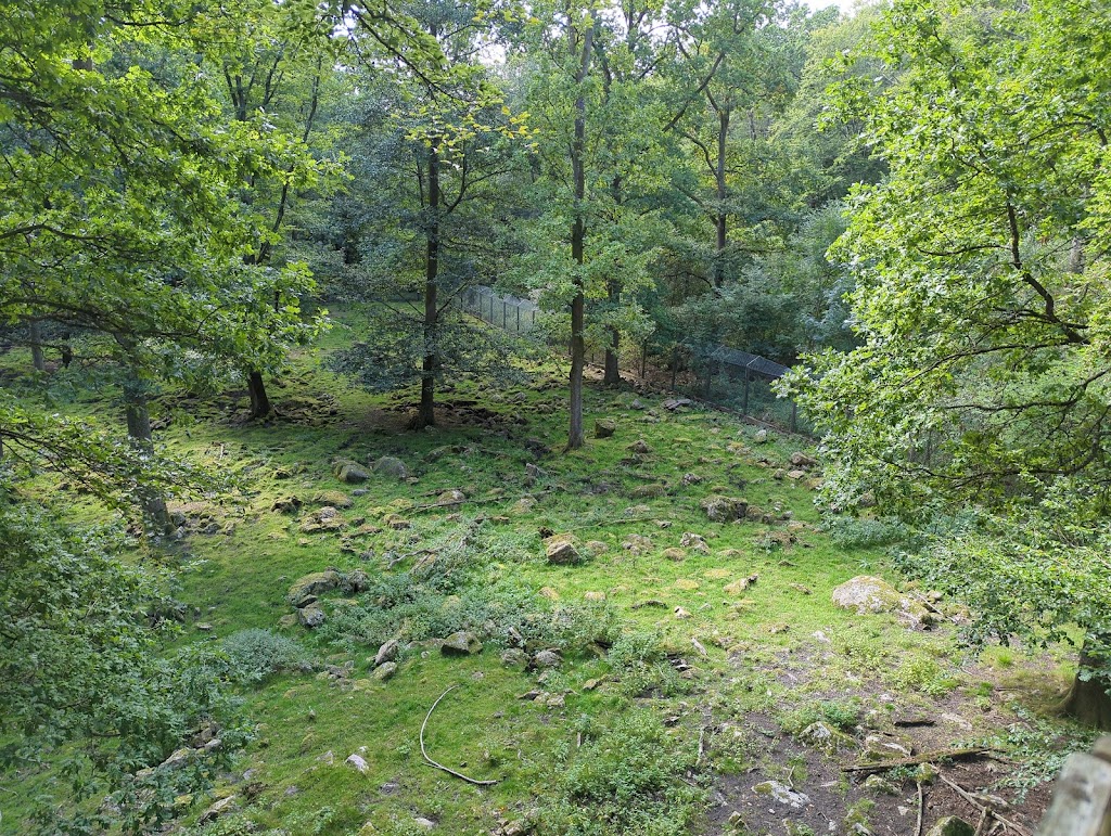 expedition-upp-i-skanes-djurpark-16.jpeg