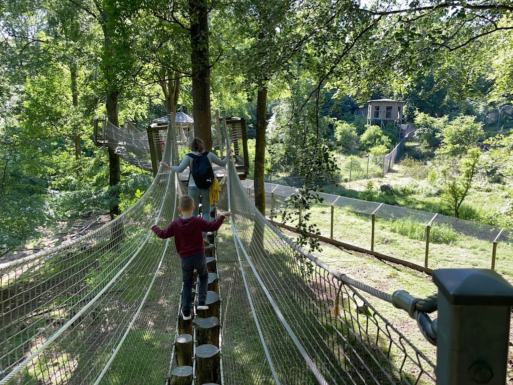 expedition-upp-i-skanes-djurpark-5.jpeg