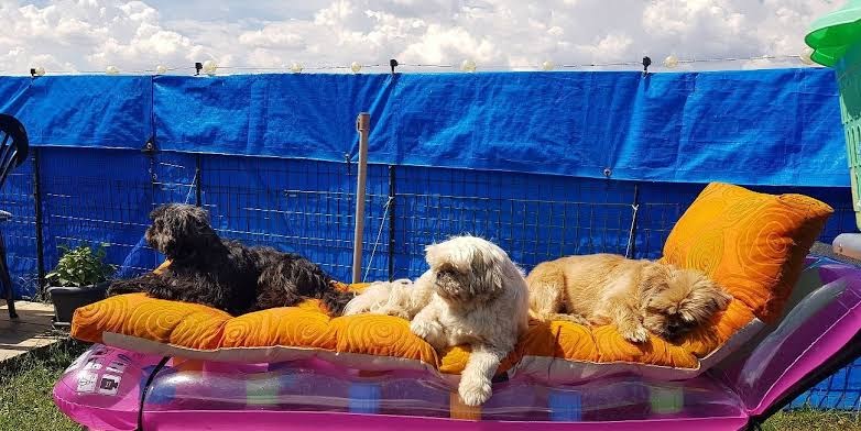 jagersbo-camping-11.jpeg