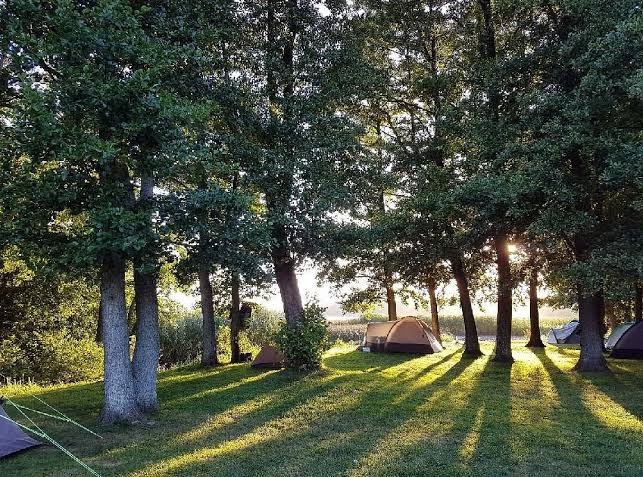 jagersbo-camping-12.jpeg