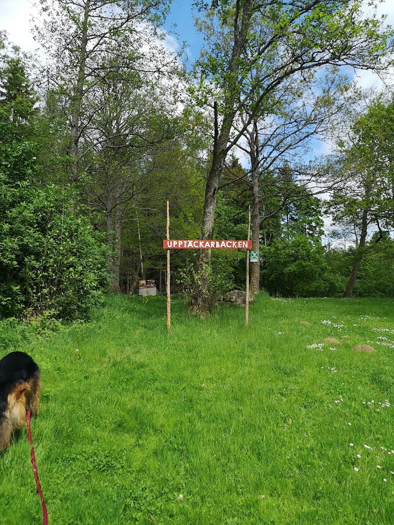 lagergarden-finngarden-3.jpeg
