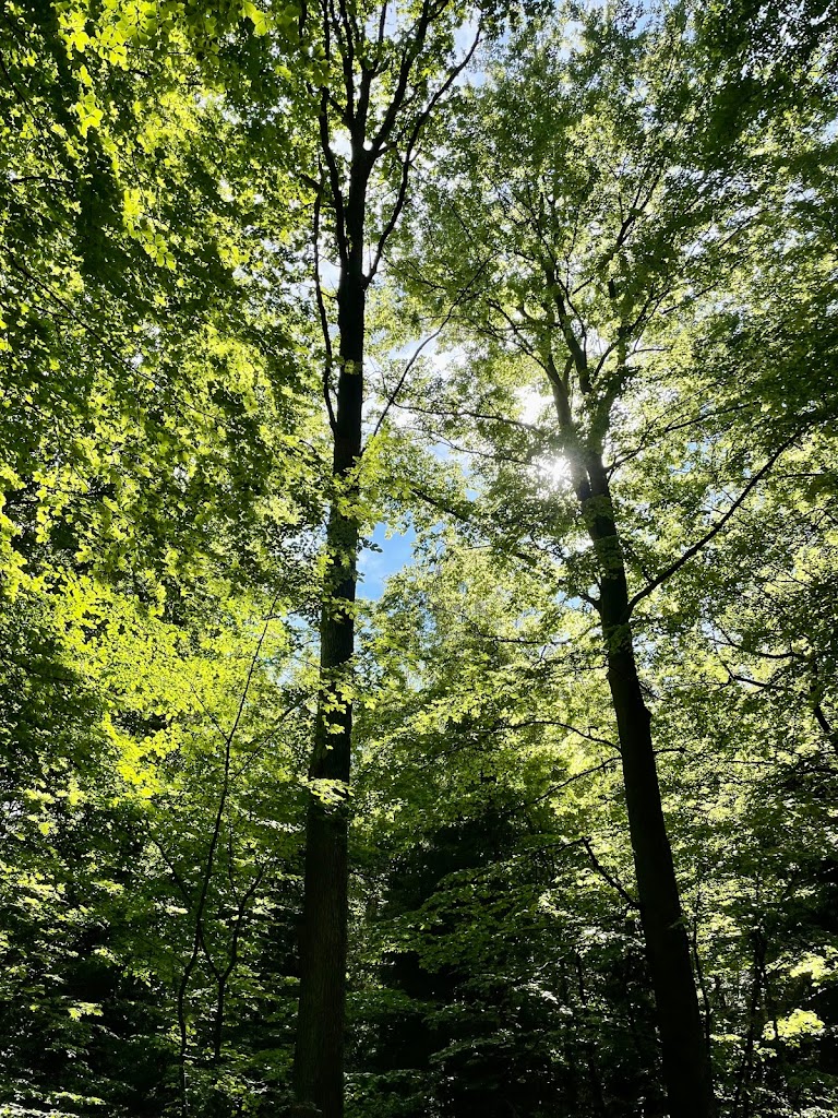 lagerplats-dagstorpssjon-9.jpeg