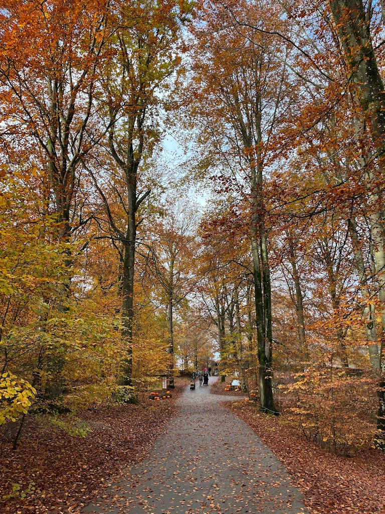naturlekplats-i-skanes-djurpark-1.jpeg