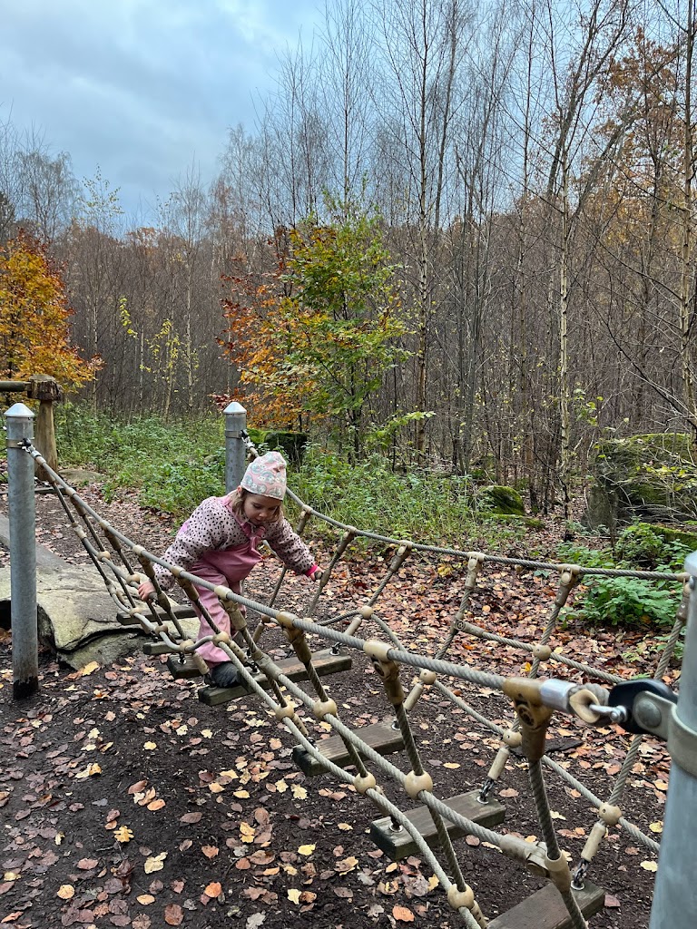 naturlekplats-i-skanes-djurpark-5.jpeg