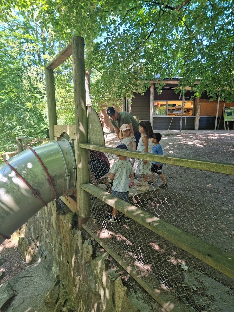 resturang-bjornberget-15.jpeg