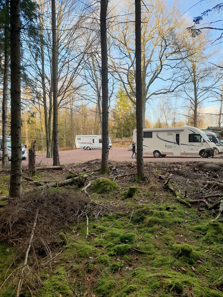 stallplats-honungsfarmen-0.jpeg
