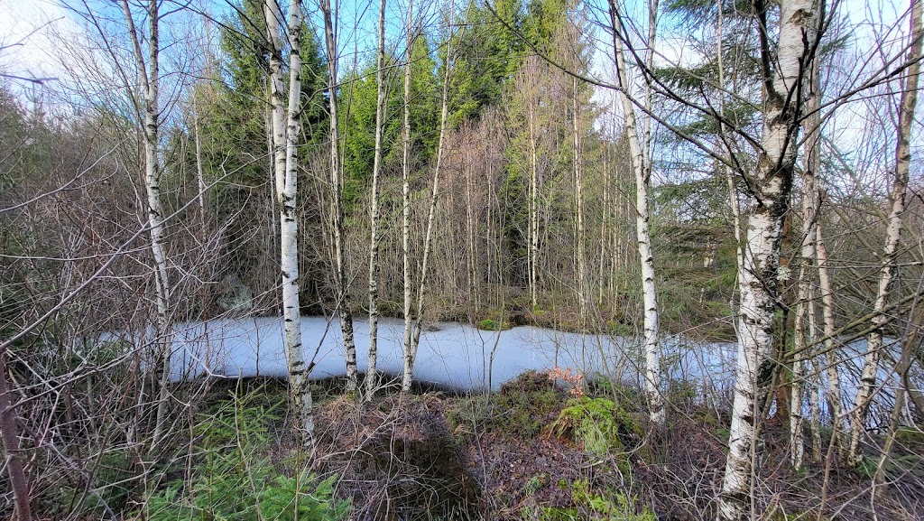 stallplats-honungsfarmen-17.jpeg