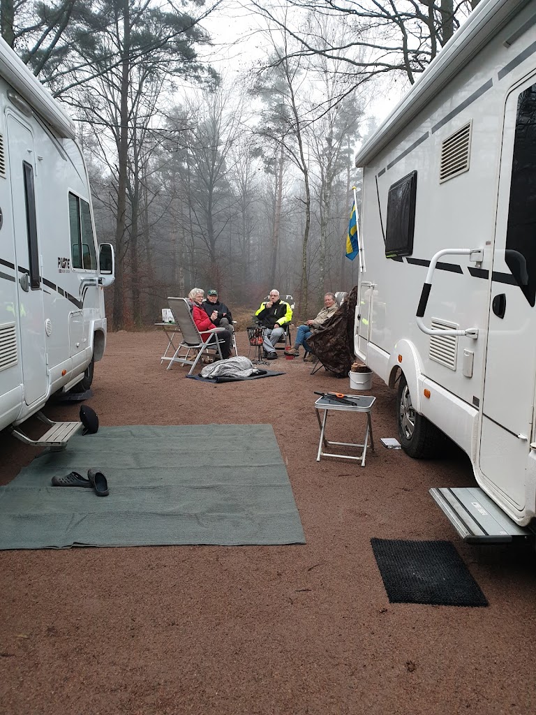 stallplats-honungsfarmen-7.jpeg