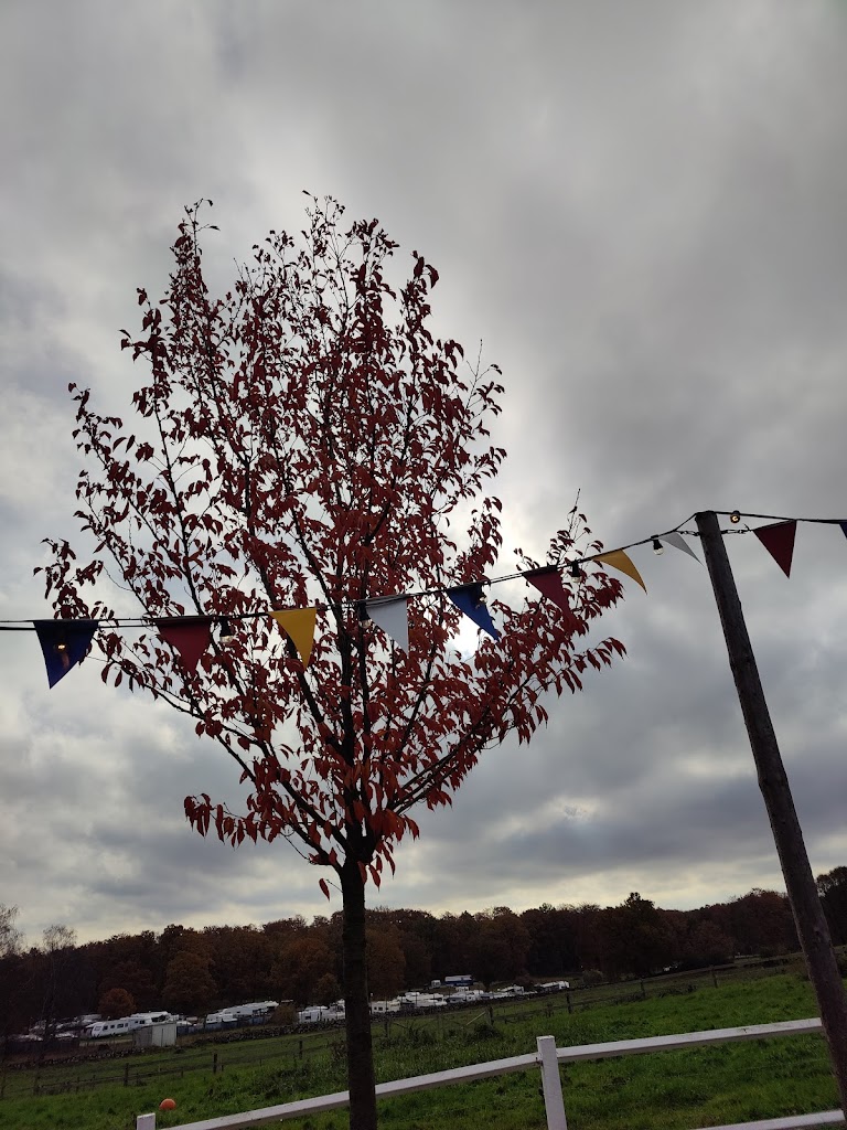 tvattbjorn-pa-skanesdjurpark-6.jpeg