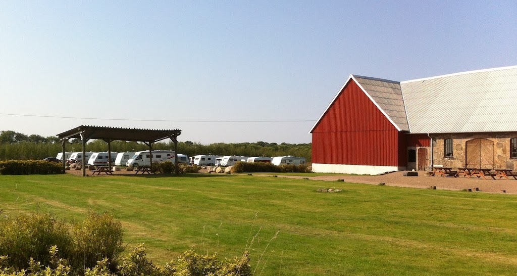 blasinge-farm-campsite-4.jpeg
