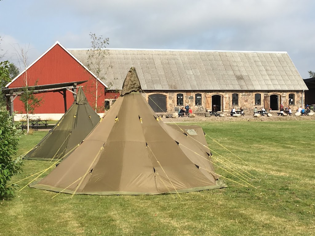 blasinge-farm-campsite-6.jpeg