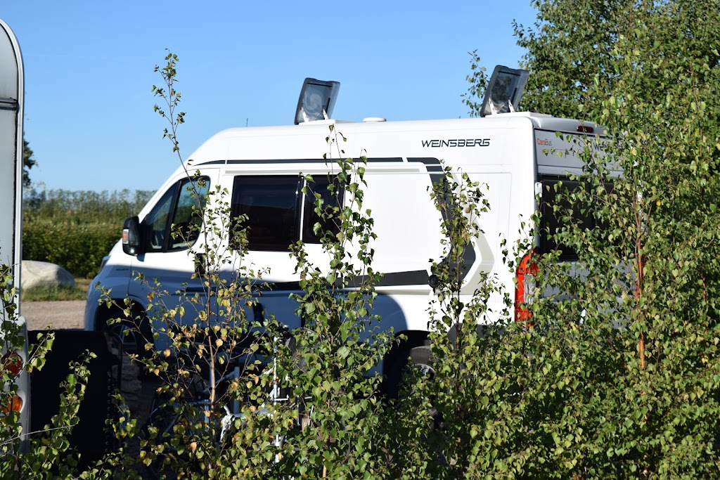 blasinge-farm-campsite-7.jpeg