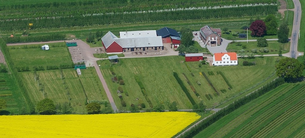 blasinge-farm-hostel-jonstorp-5.jpeg