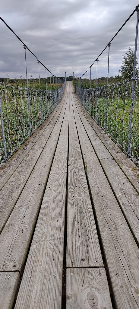 hangbron-1.jpeg
