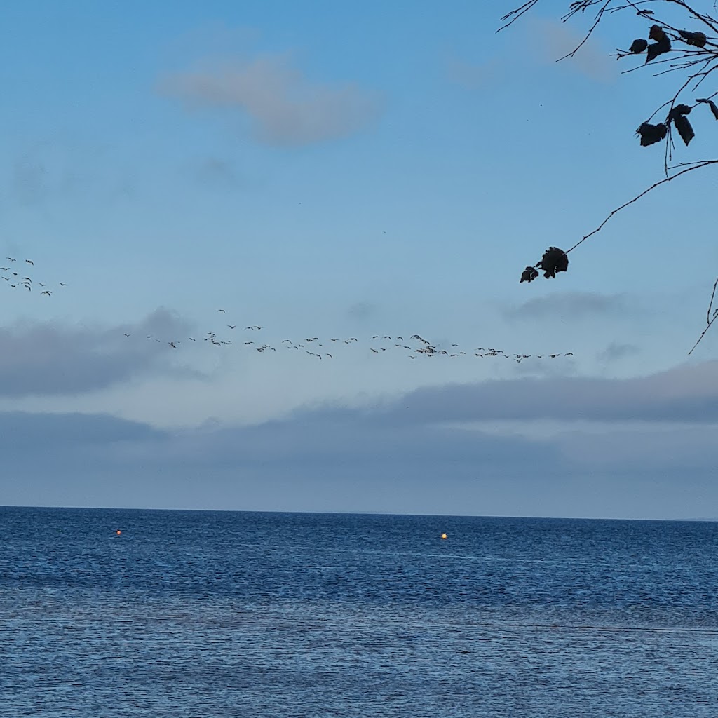 jonstorps-hamn-13.jpeg