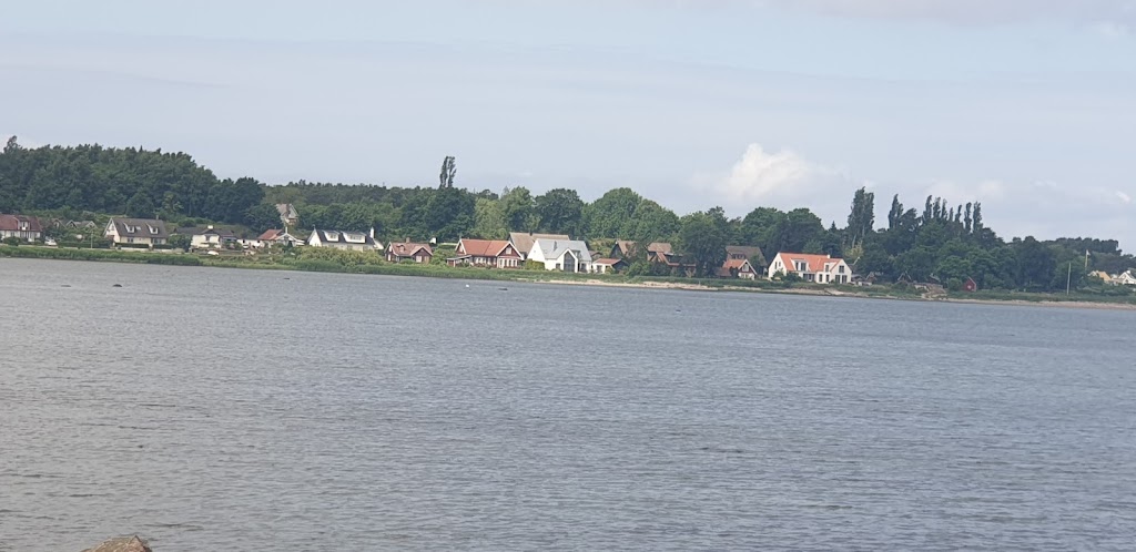 jonstorps-hamn-15.jpeg