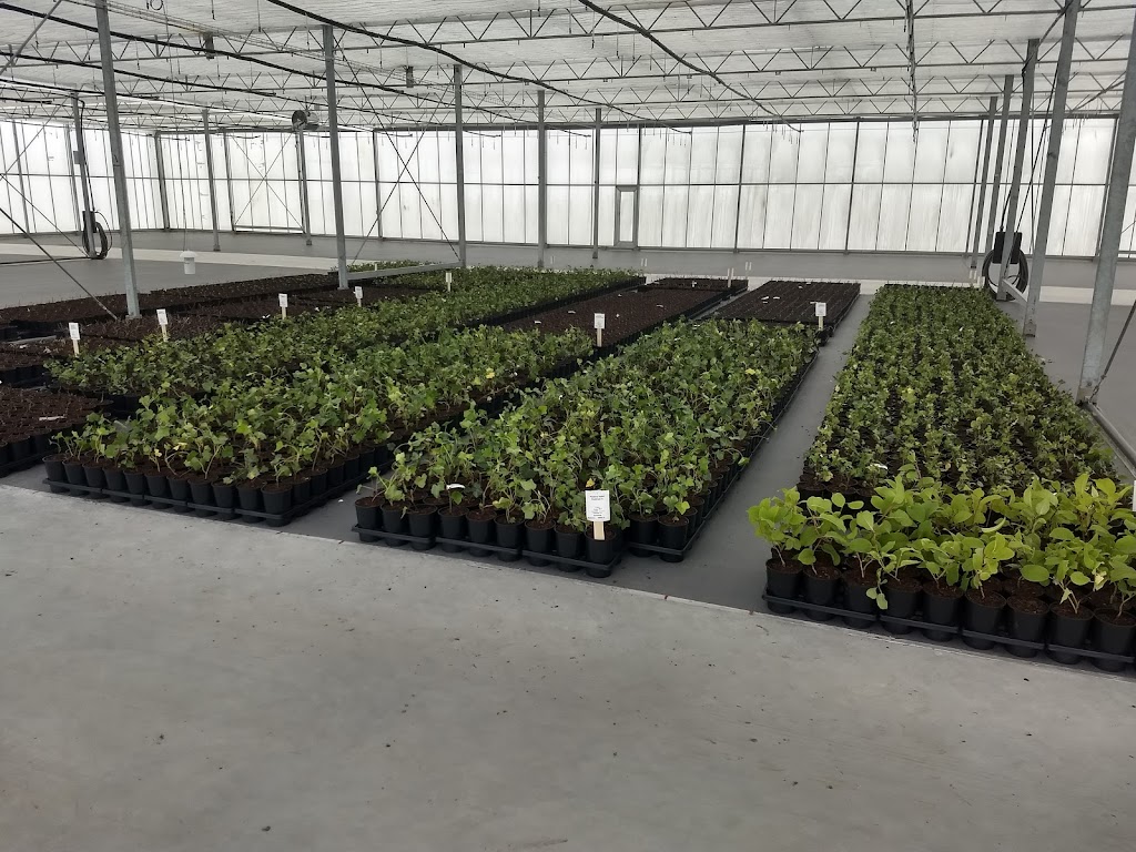 splendor-plant-ab-0.jpeg