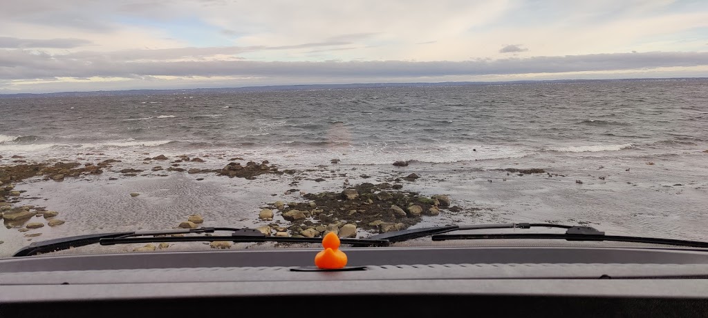 svanshalls-hamn-husbilsstallplats-15.jpeg