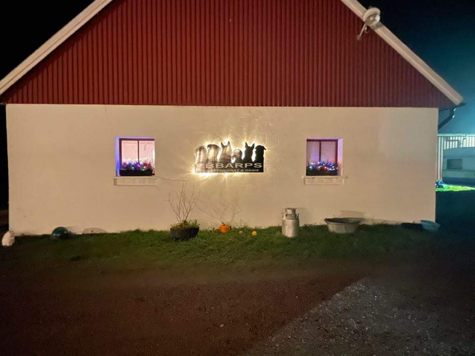 ebbarps-hundpensionat-dagis-9.jpeg