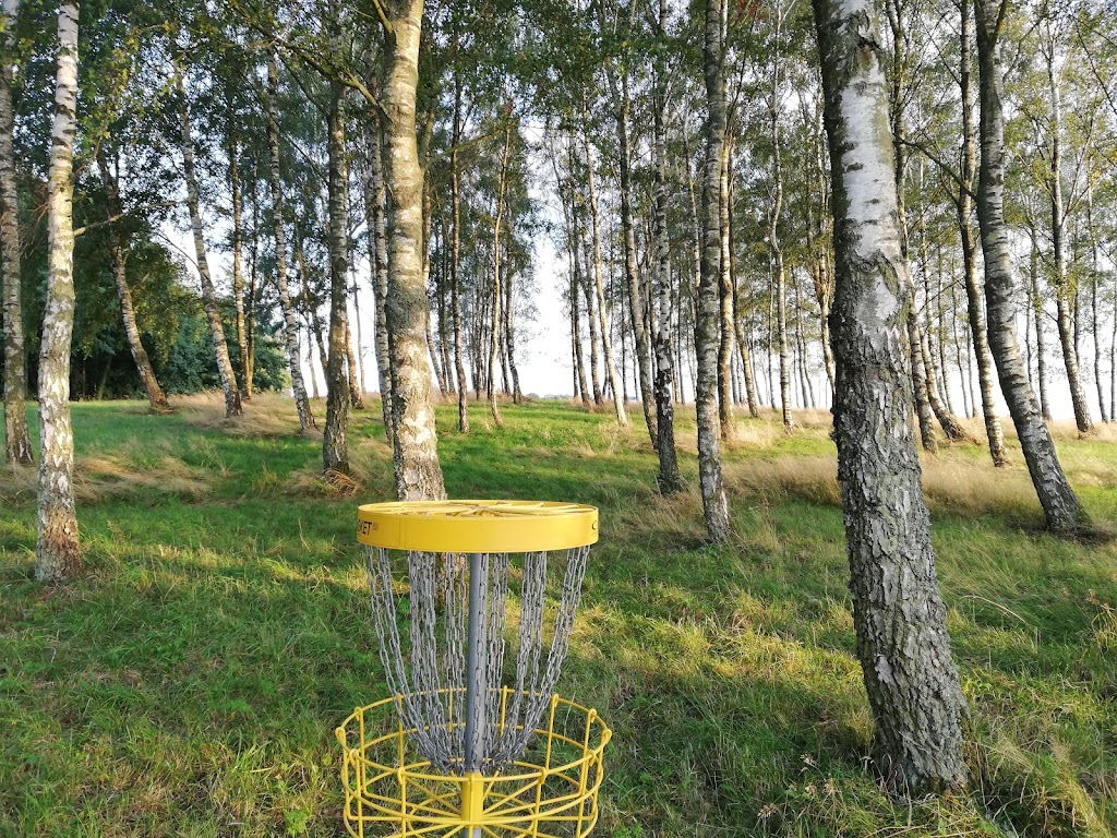 frisbee-laholm-1.jpeg