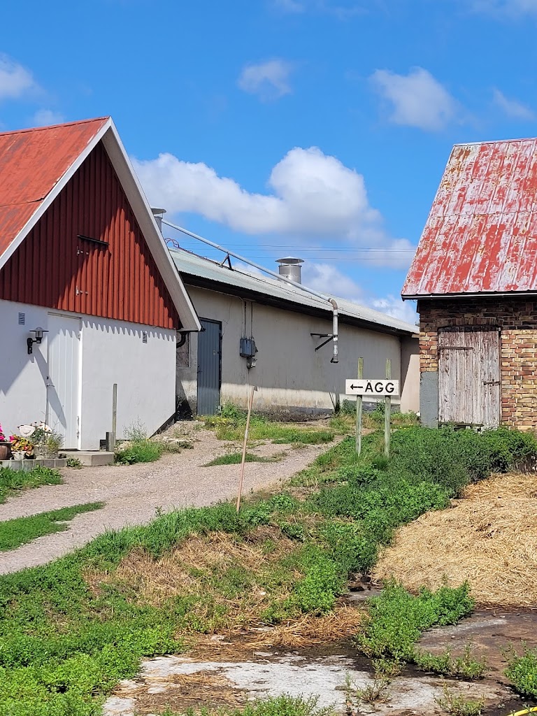 idoffsson-agg-och-potatis-hille-i-laholm-ab-0.jpeg