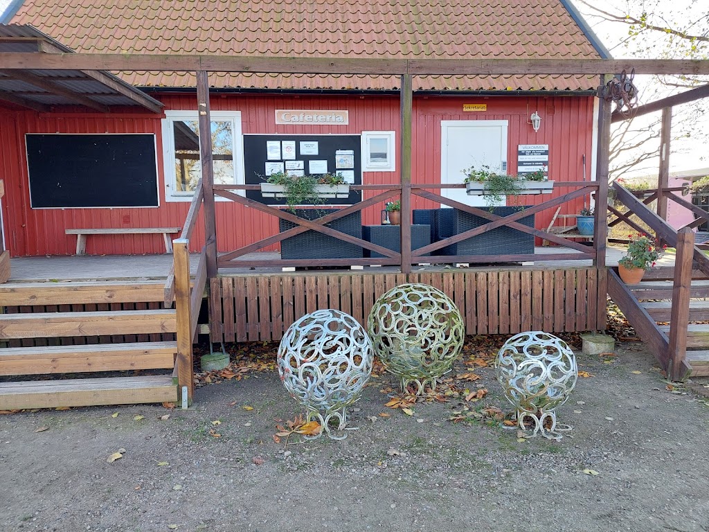 laholms-ryttarforening-7.jpeg