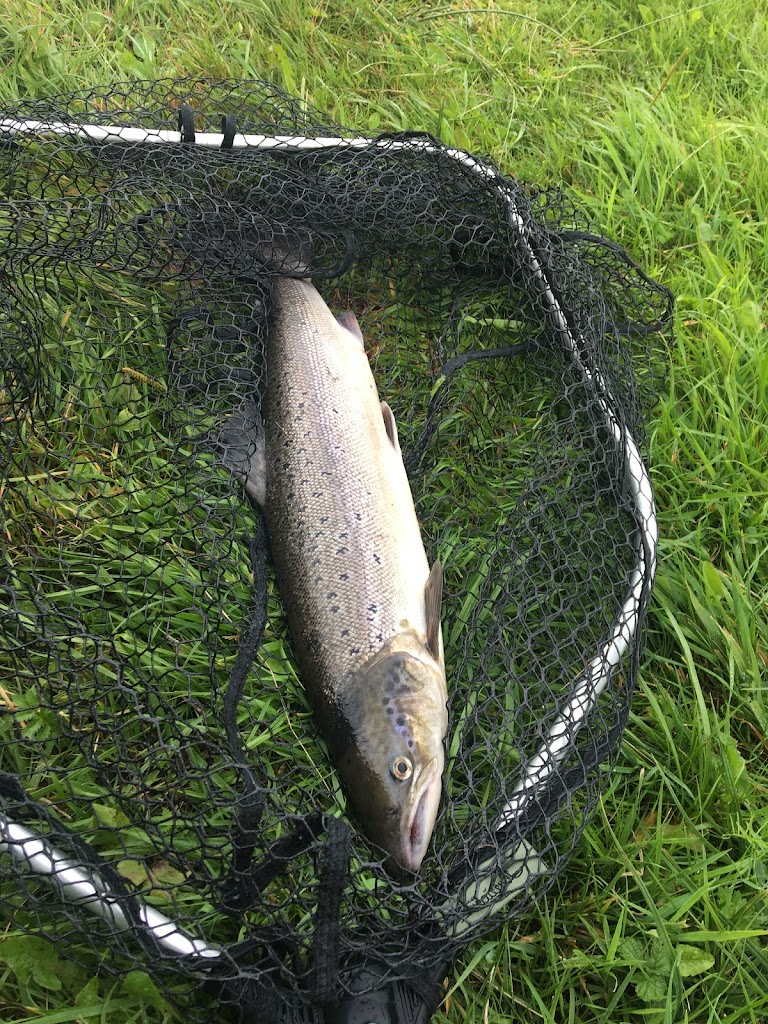 laholms-sportfiske-0.jpeg