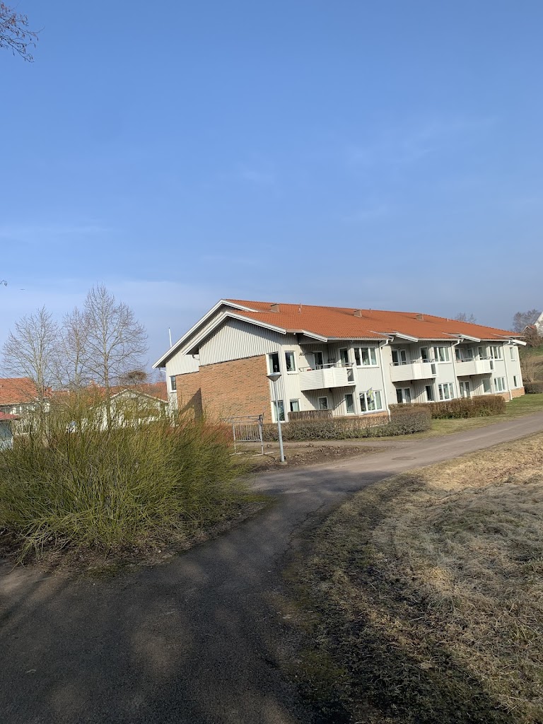 lingardens-kok-0.jpeg