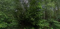 stall-tjarbyskog-2.jpeg