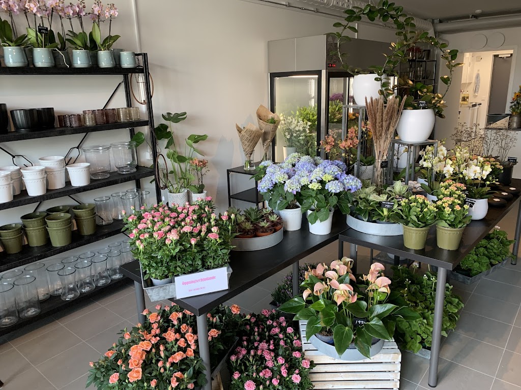 borstahusens-blommor-6.jpeg