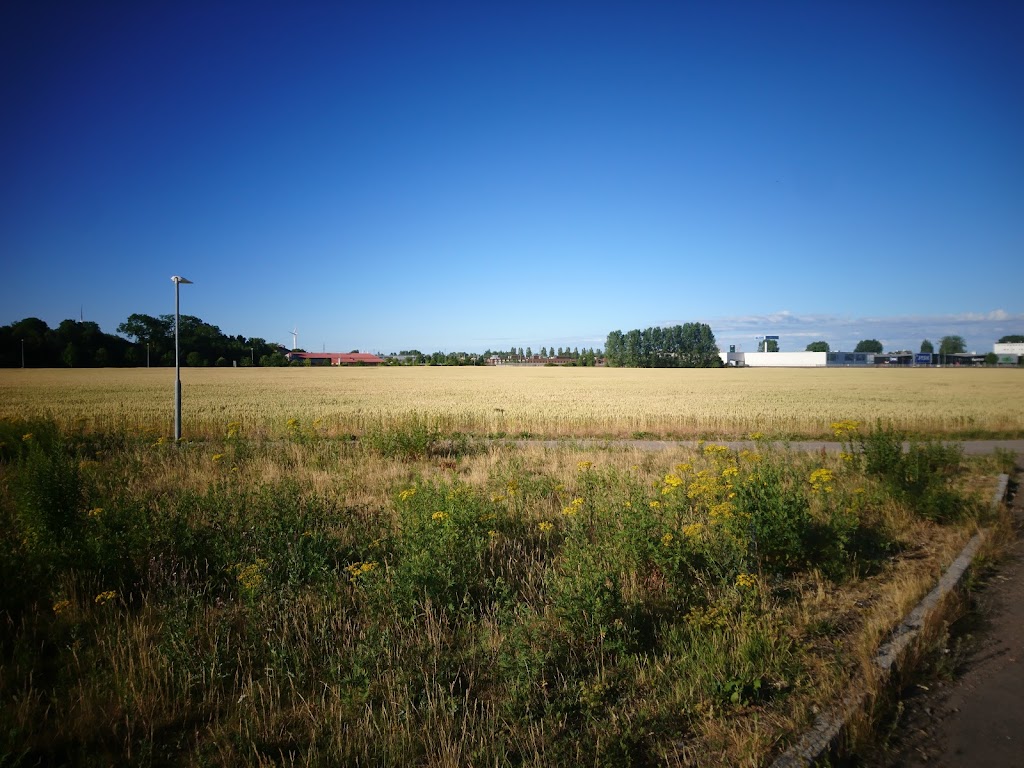 dsv-road-property-holding-ab-1.jpeg