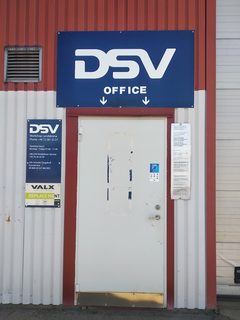 dsv-workshop-2.jpeg