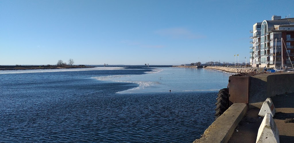 fishing-parking-landskrona-13.jpeg