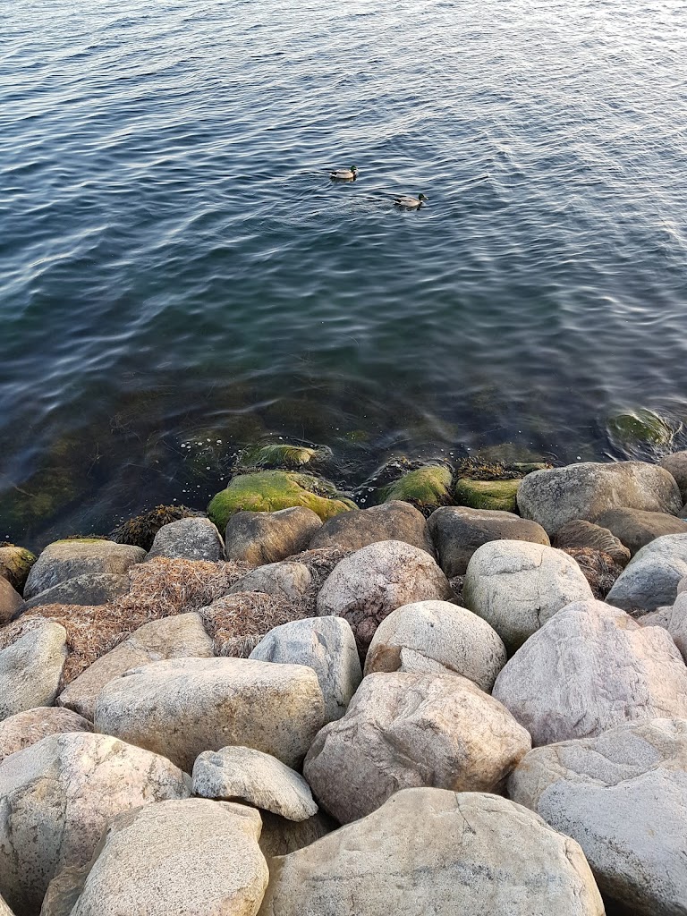 fishing-parking-landskrona-9.jpeg