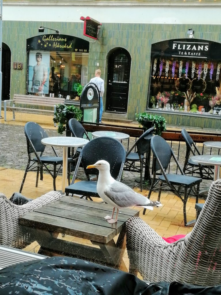 flizans-tea-coffee-3.jpeg
