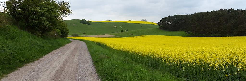 hildesborg-private-property-14.jpeg